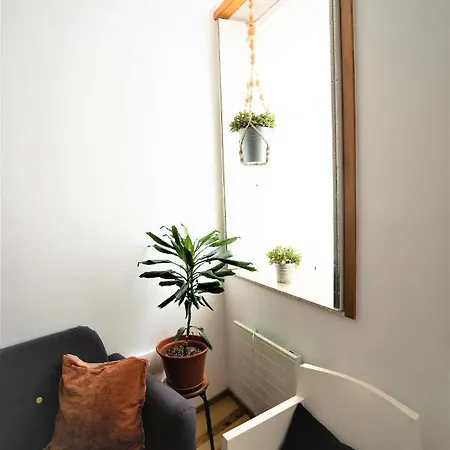 Downtown Relaxed With Private Yard Apartament