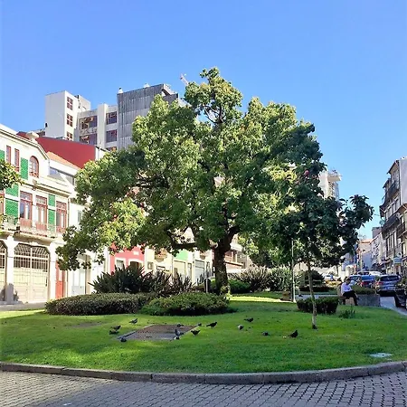 Downtown Relaxed With Private Yard Apartment