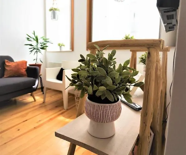 Downtown Relaxed With Private Yard