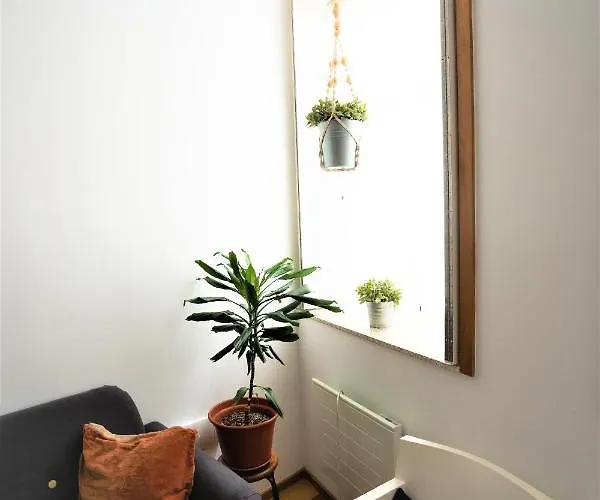 Downtown Relaxed With Private Yard Apartment