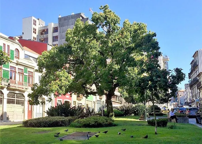 Downtown Relaxed With Private Yard Lejlighed